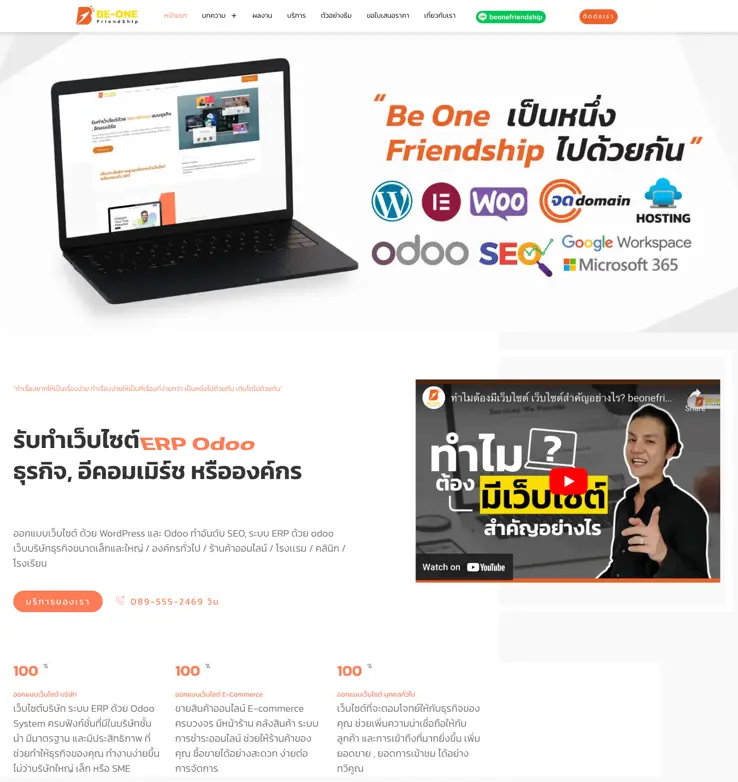 รับทำเว็บไซต์ wordpress why you choose website บริษัท บีวัน เฟรนด์ชิพ overview 02